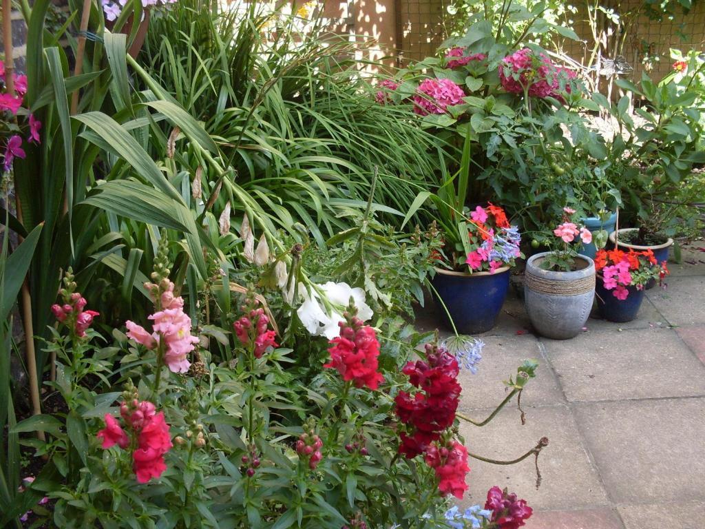 איסטבורן Cambridge House Guest House חדר תמונה